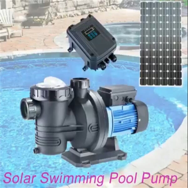 Eco-friendly and cost-effective pool maintenance
