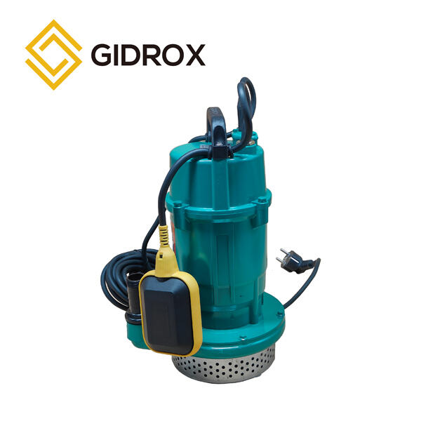 Experience Hassle-Free Water Supply with Domestic Submersible Pump