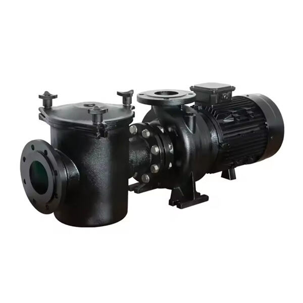 What Common Issues Do Buyers Face with Multi-Speed Pool Pumps?