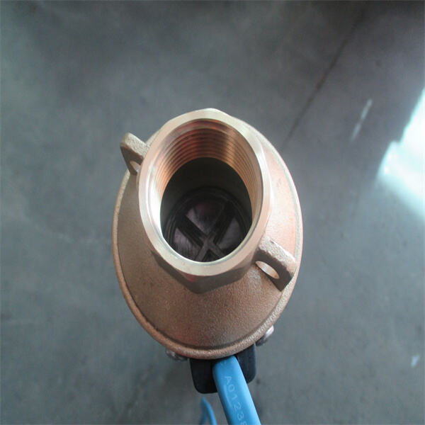 Gardez vos cultures florissantes avec des pompes d'irrigation alimentées par l'énergie solaire.