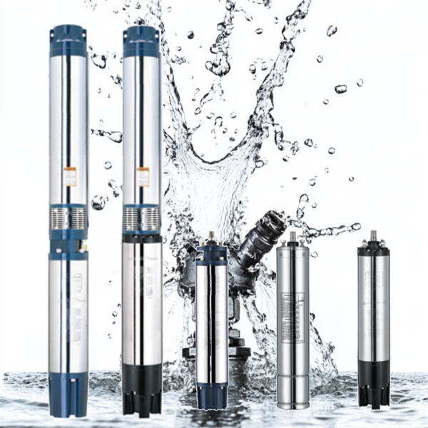 Maintenance tips for ensuring efficient borehole pump and motor operation.
