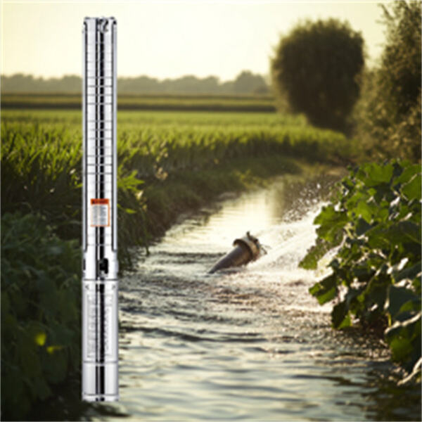 Libérez le potentiel de votre puits avec une pompe submersible de 1 CV