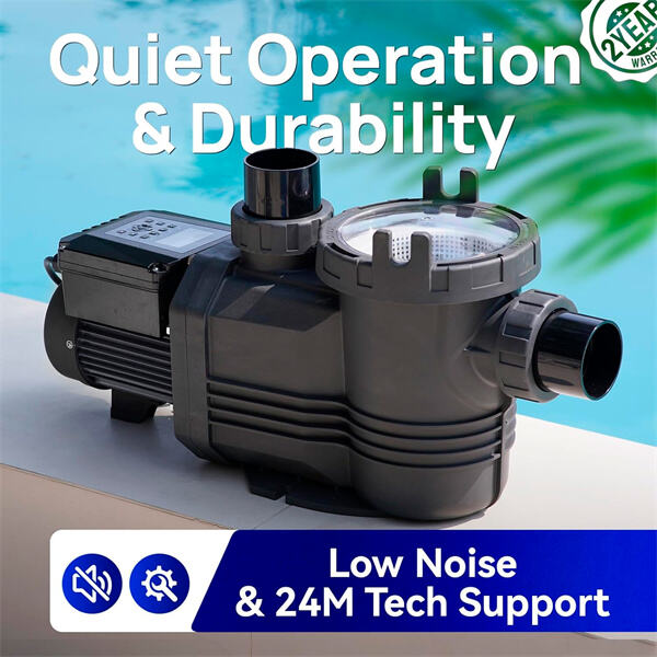 Baguhin ang Iyong Pool Experience sa pamamagitan ng Variable Speed Pump