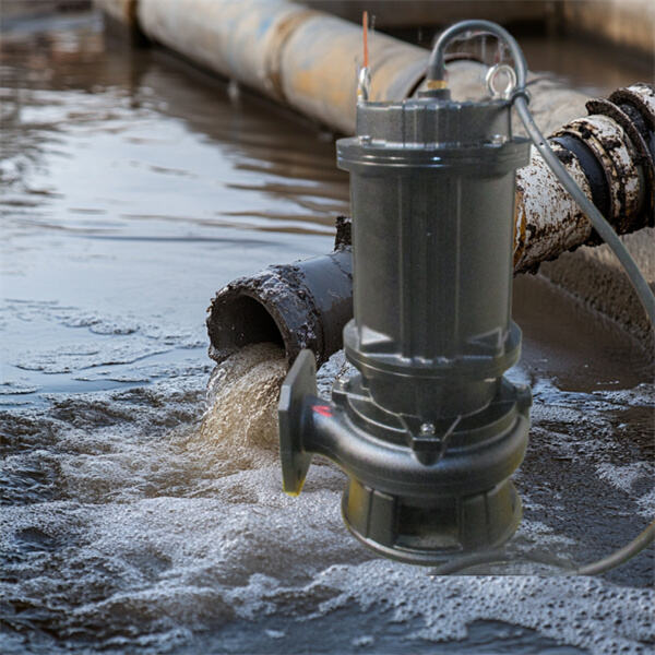 Reliable submersible pumps for heavy-duty dewatering jobs".