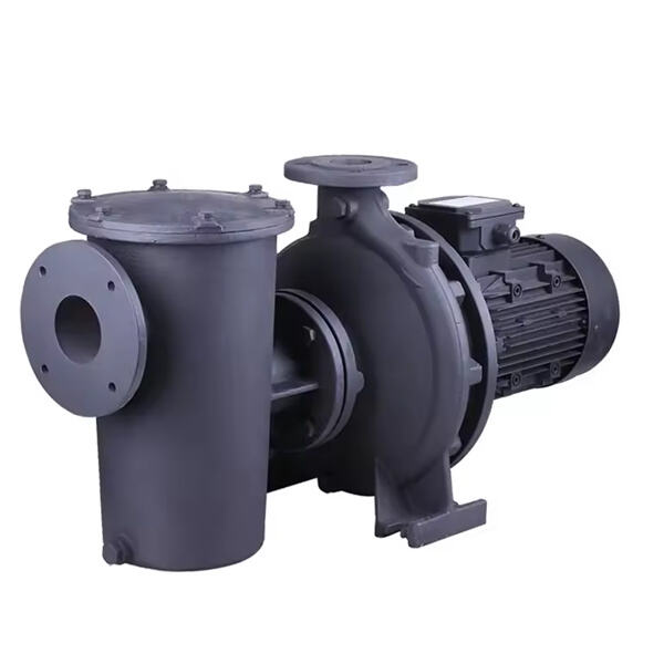 What Are the Latest Trends in Multi-Speed Pool Pump Technology?