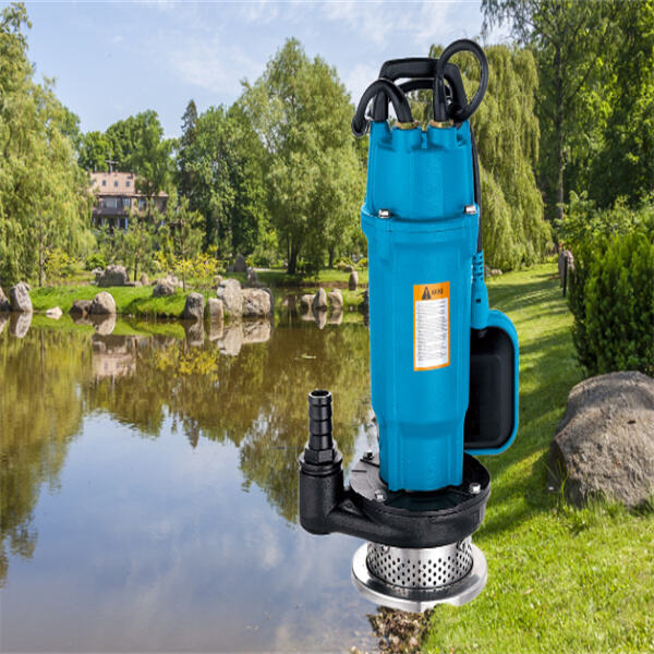 How to find budget-friendly submersible pumps for your home