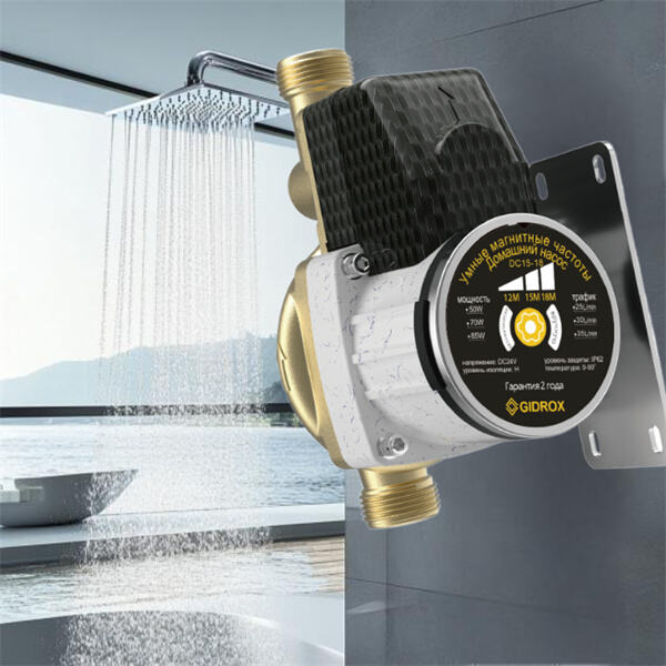 La petite pompe de refoulement parfaite pour votre maison