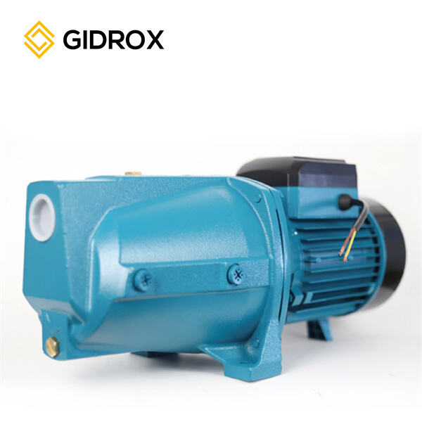 Consumer Tips for Saving on Domestic Pump Price"