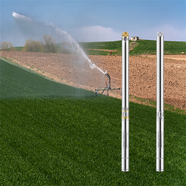 Maximizing Yield with Deep Well Submersible Irrigation Systems