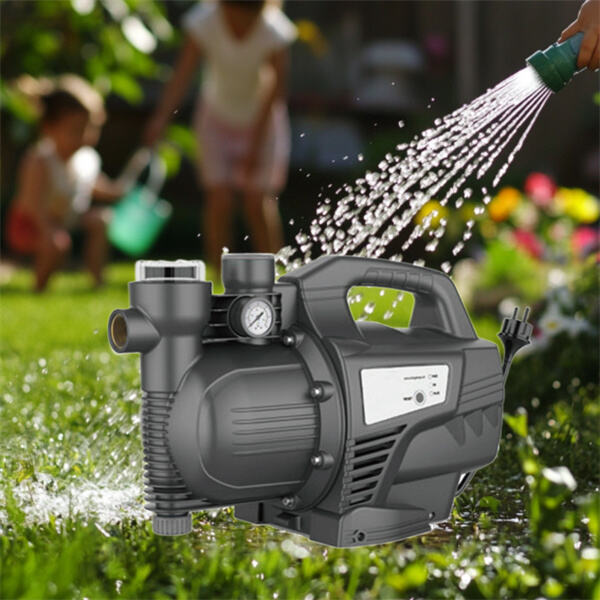 Sparen Sie Zeit und Energie mit der automatischen Wasserdruckpumpe