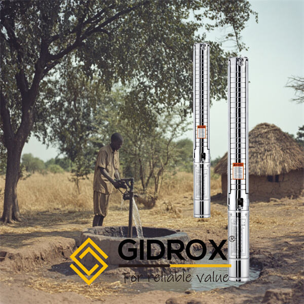 The Hygienic Advantages of Stainless Steel Well Pumps