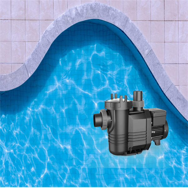 Revolutionize Your Pool Maintenance Routine with Commercial Grade Pumps