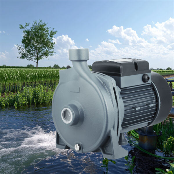 La bomba de motor fácil de usar para tu sistema de agua doméstico.