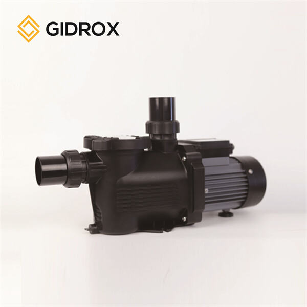 What Are the Top Trends in Automatic Pool Pumps with Timers for 2023?