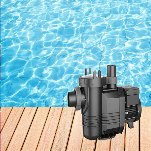 Pump up Your Pool's Performance with Top-of-the-Line Commercial Equipmen