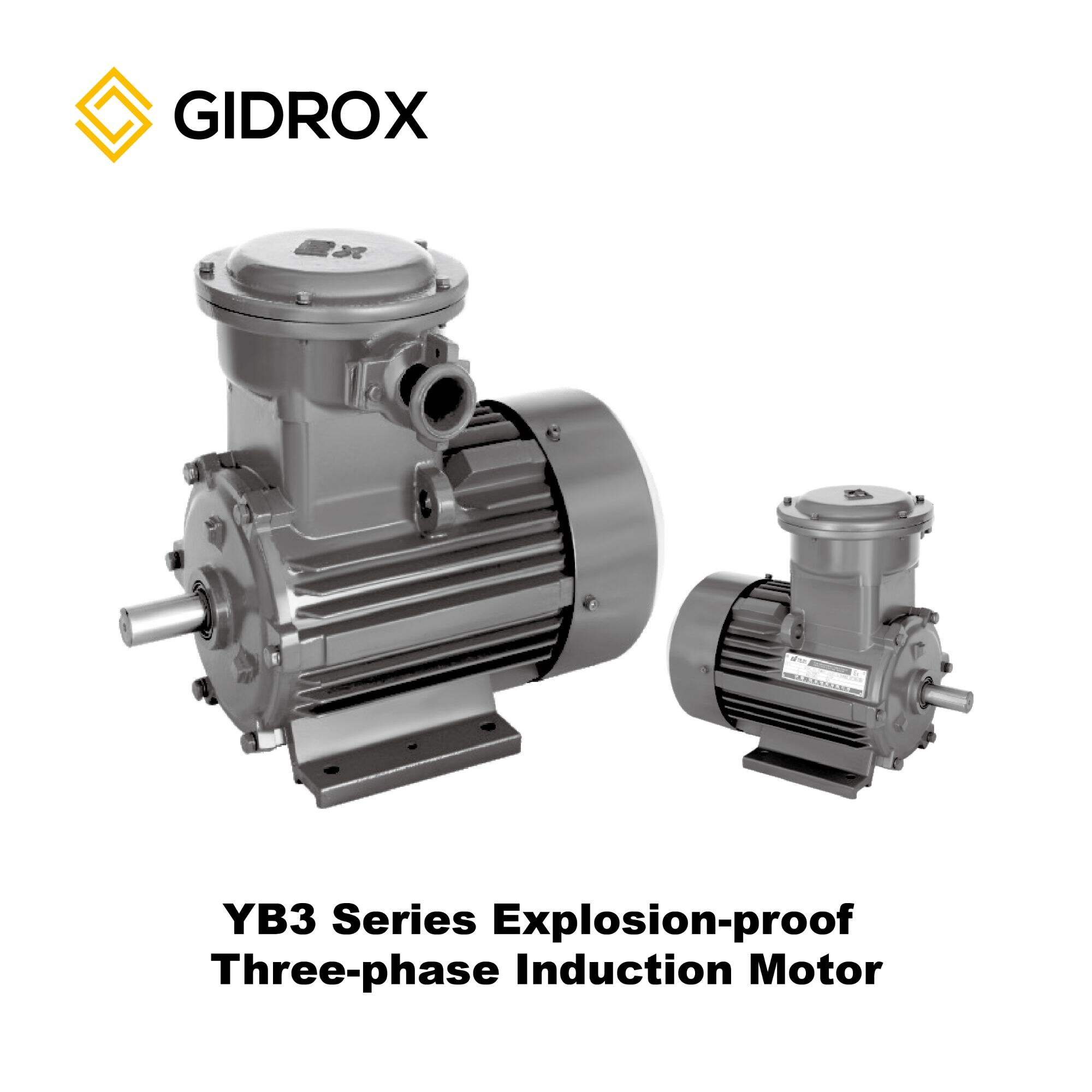 GIDROX MOTOR-YB3 Series