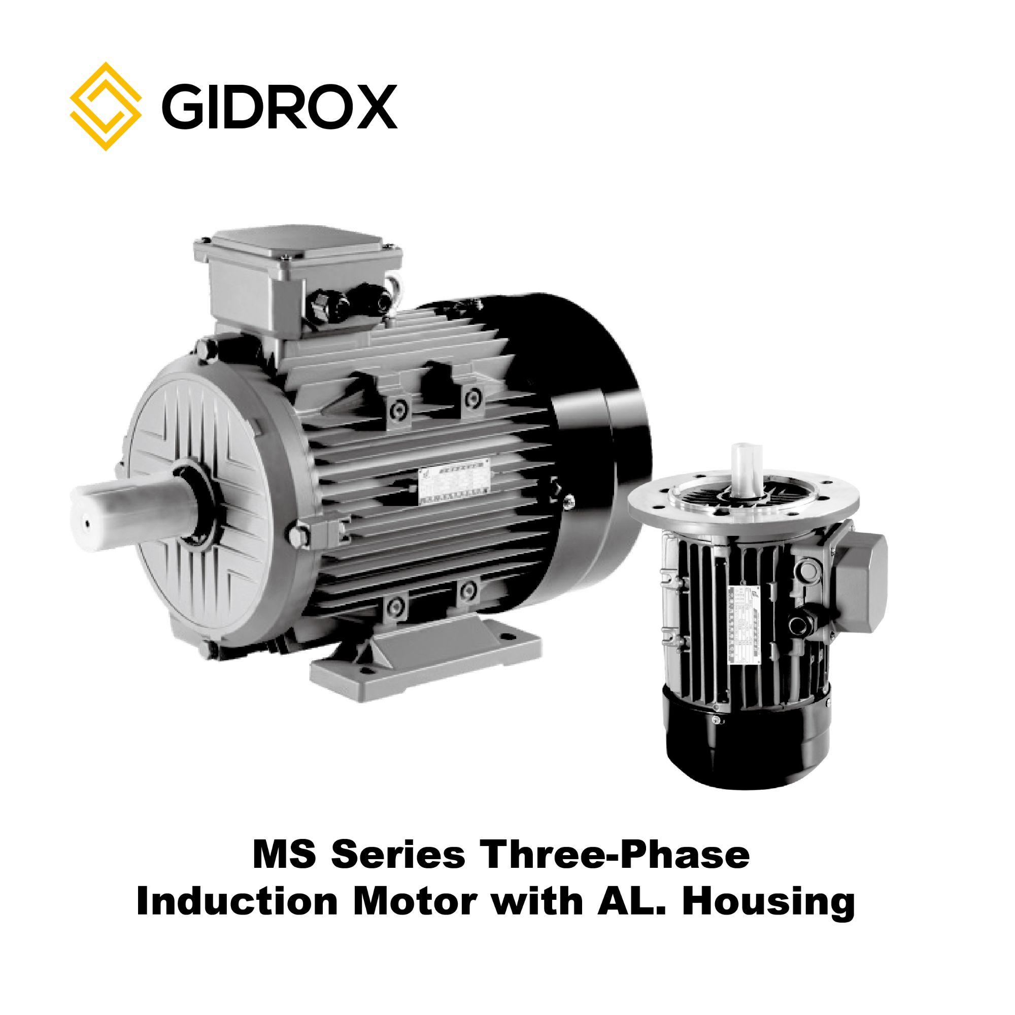 Seri GIDROX MOTOR-MS