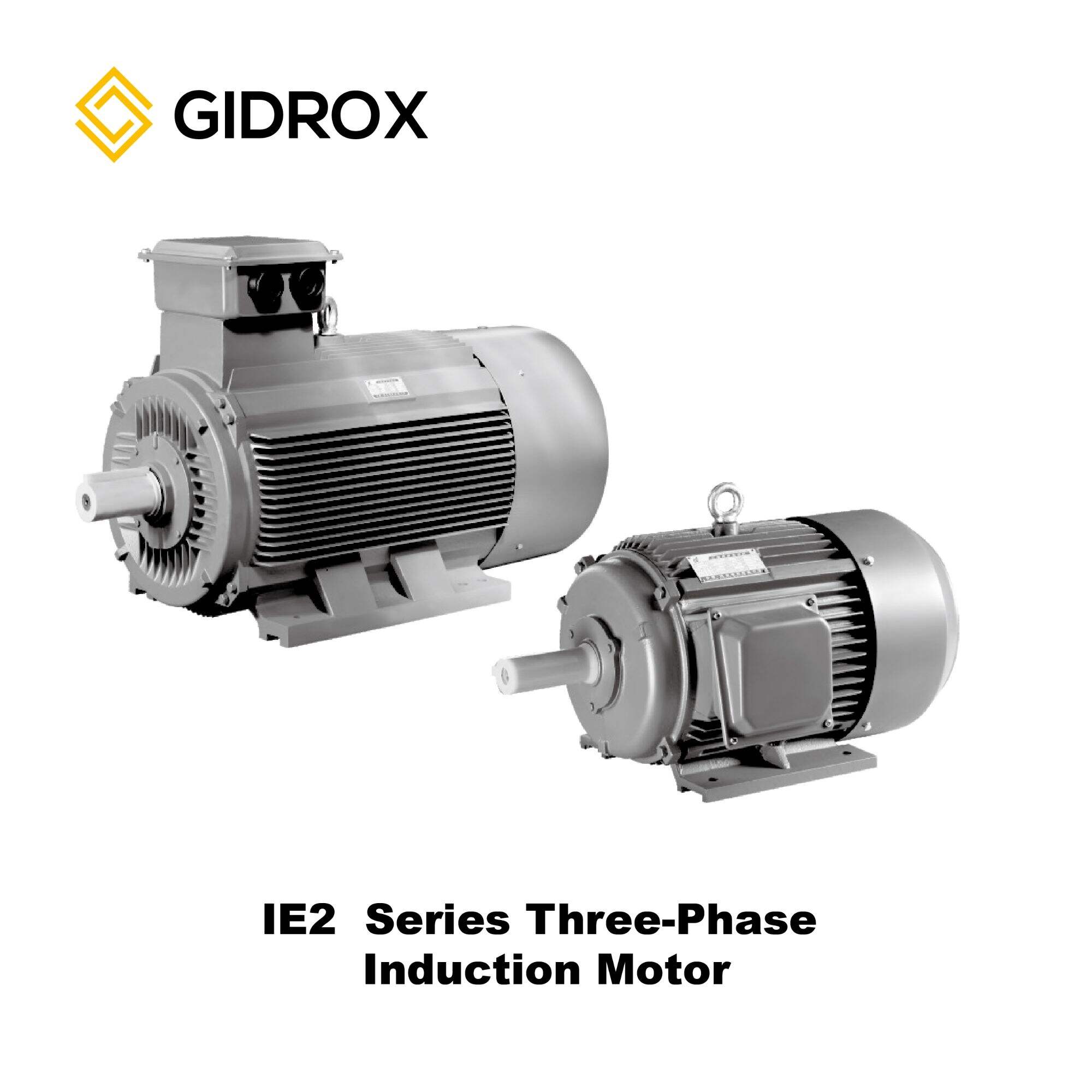 GIDROX MOTOR-IE2 Series