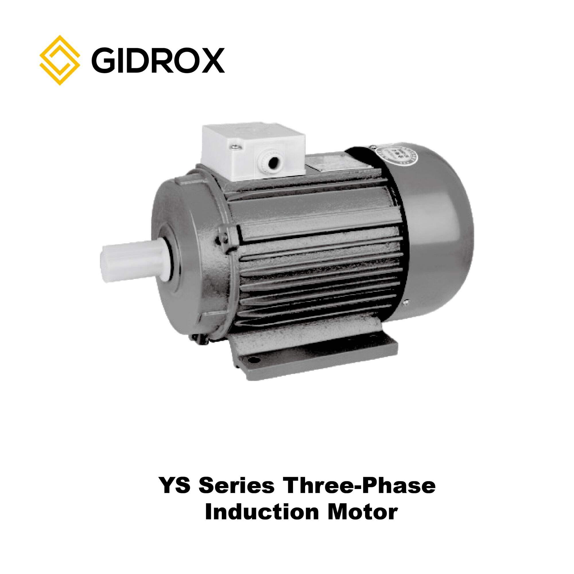 GIDROX MOTOR-YS Series