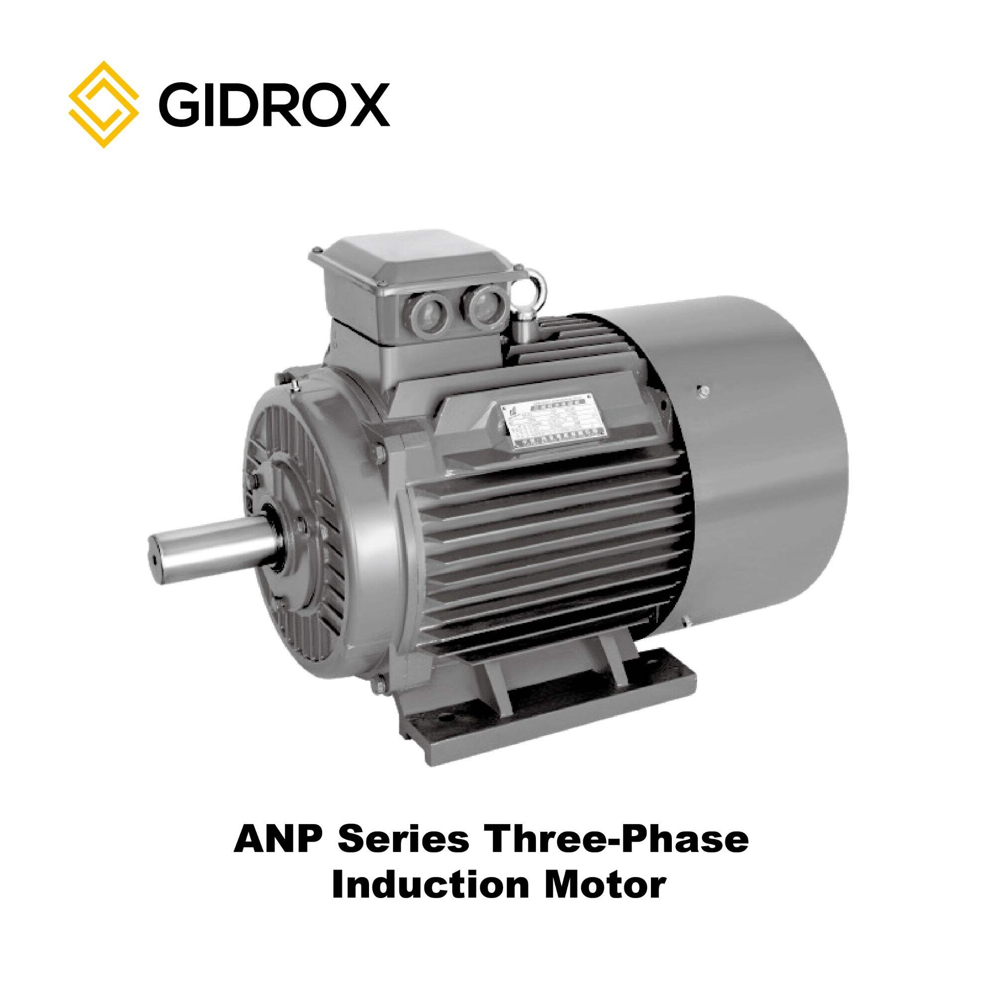 GIDROX MOTOR-ANP Series