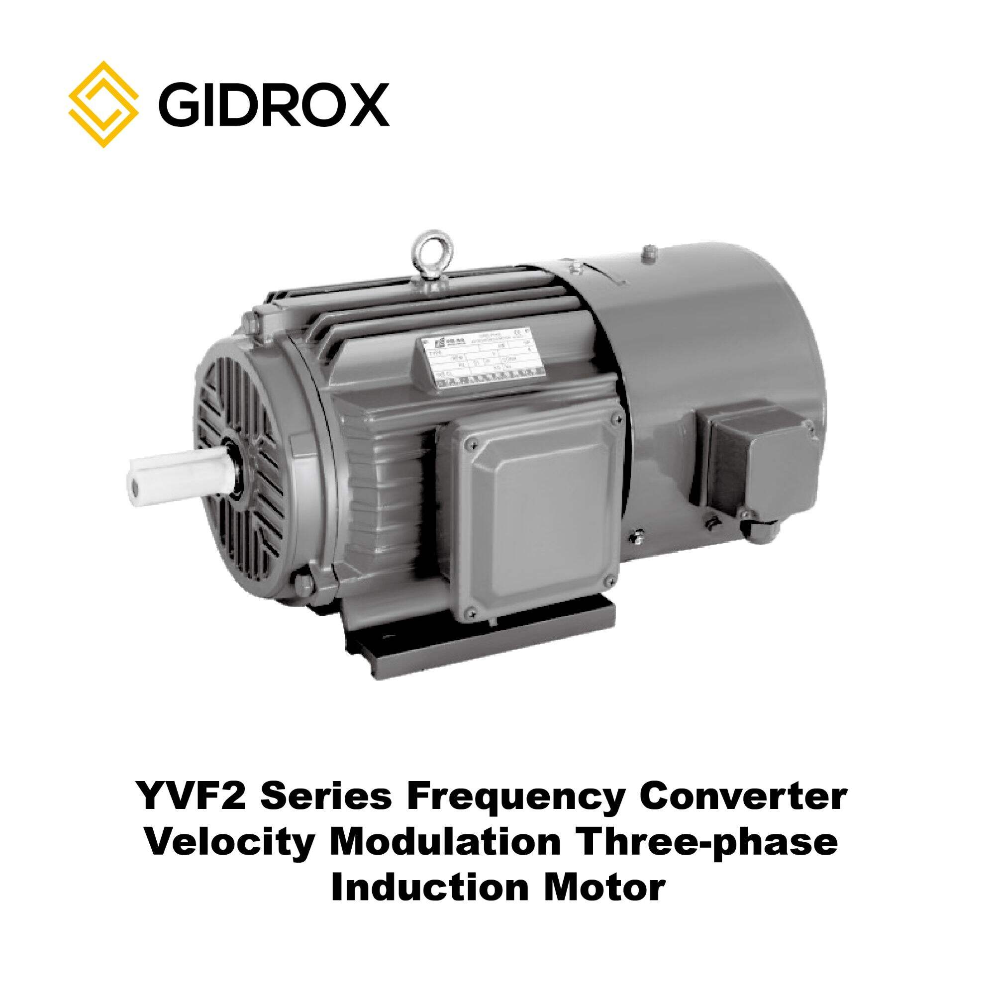 GIDROX MOTOR-YVF2 Series