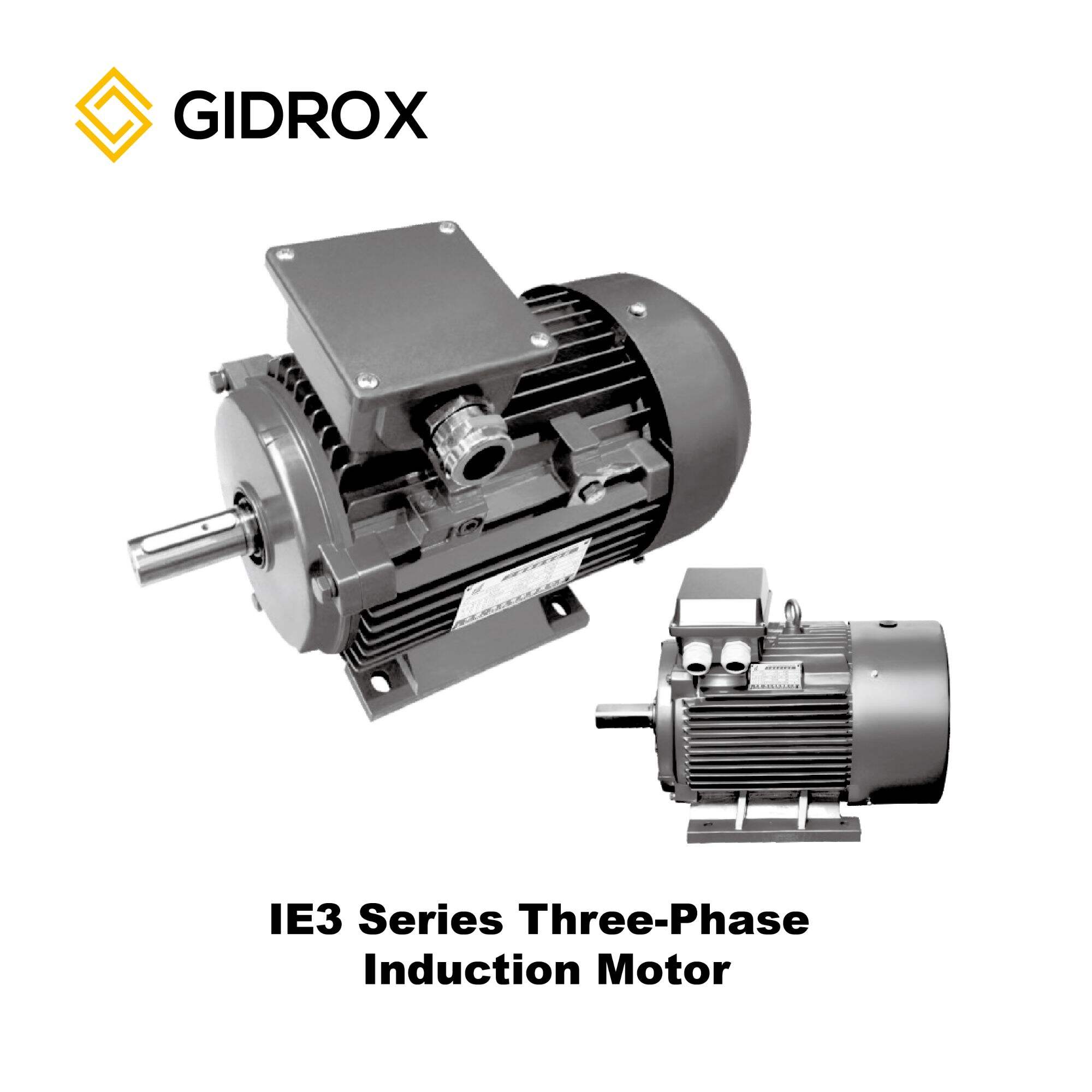 Seri GIDROX MOTOR-IE3