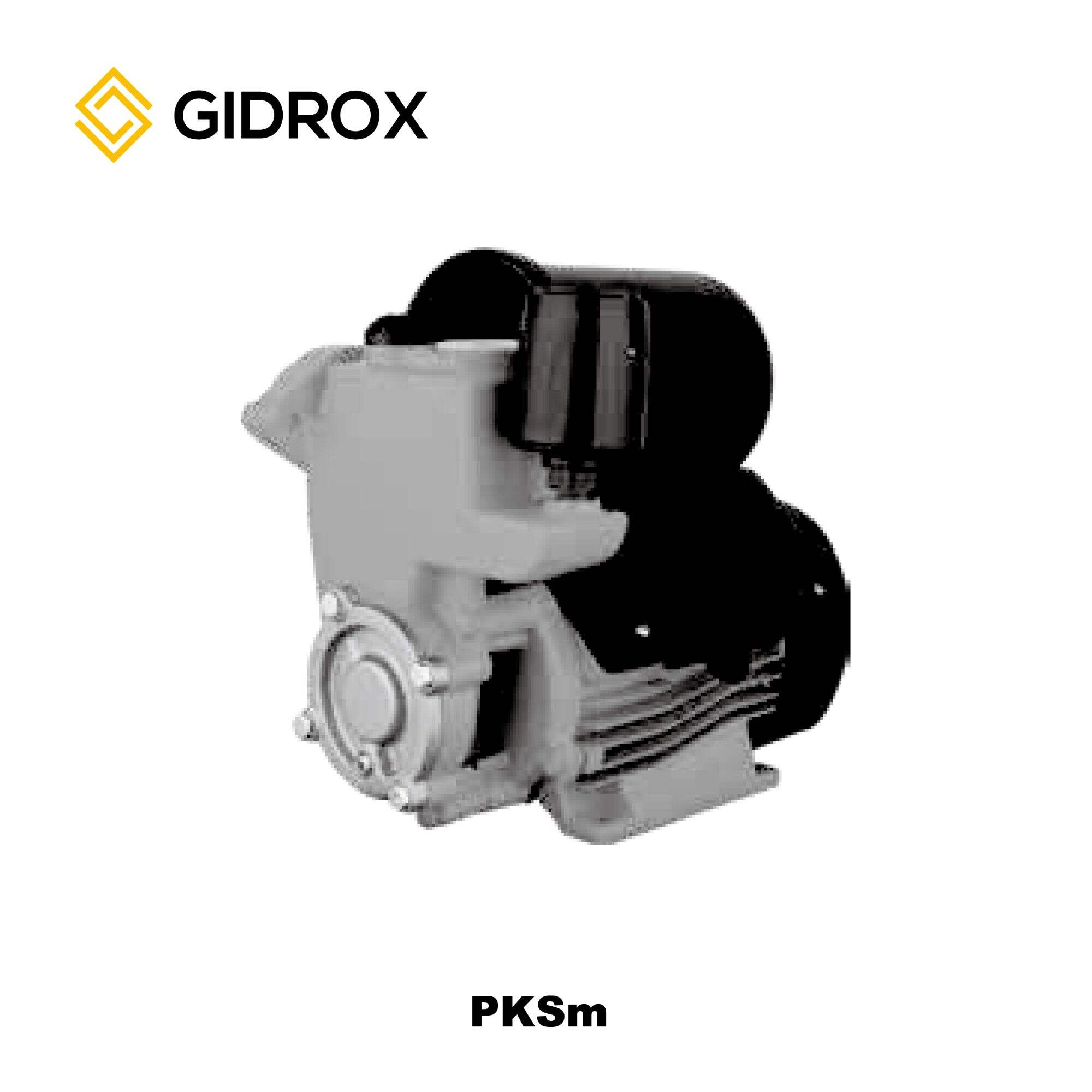 GIDROX SELF-PRIMING PERIPHERAL PUMP-PKSm