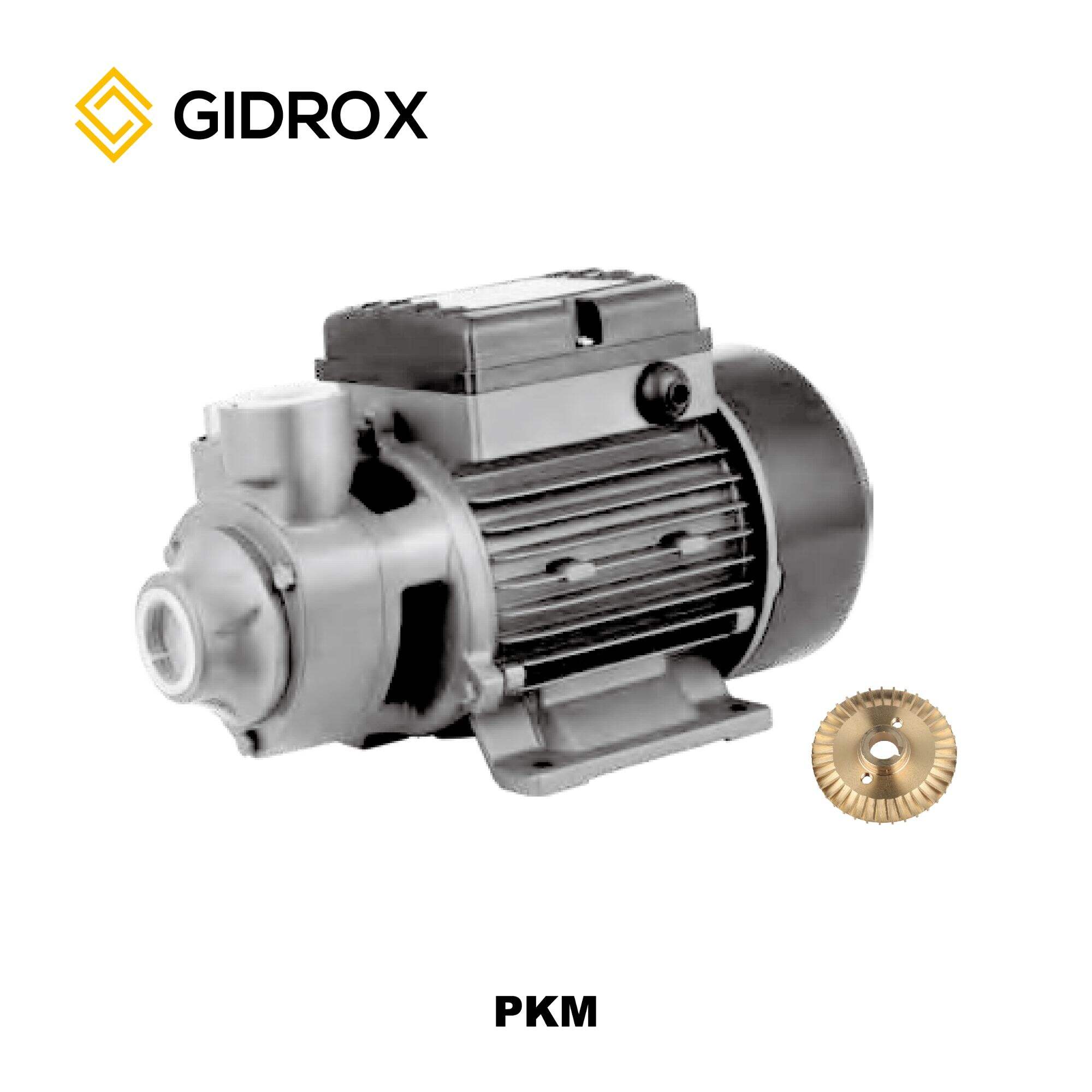 POMPA PERIPHERAL GIDROX-PKM