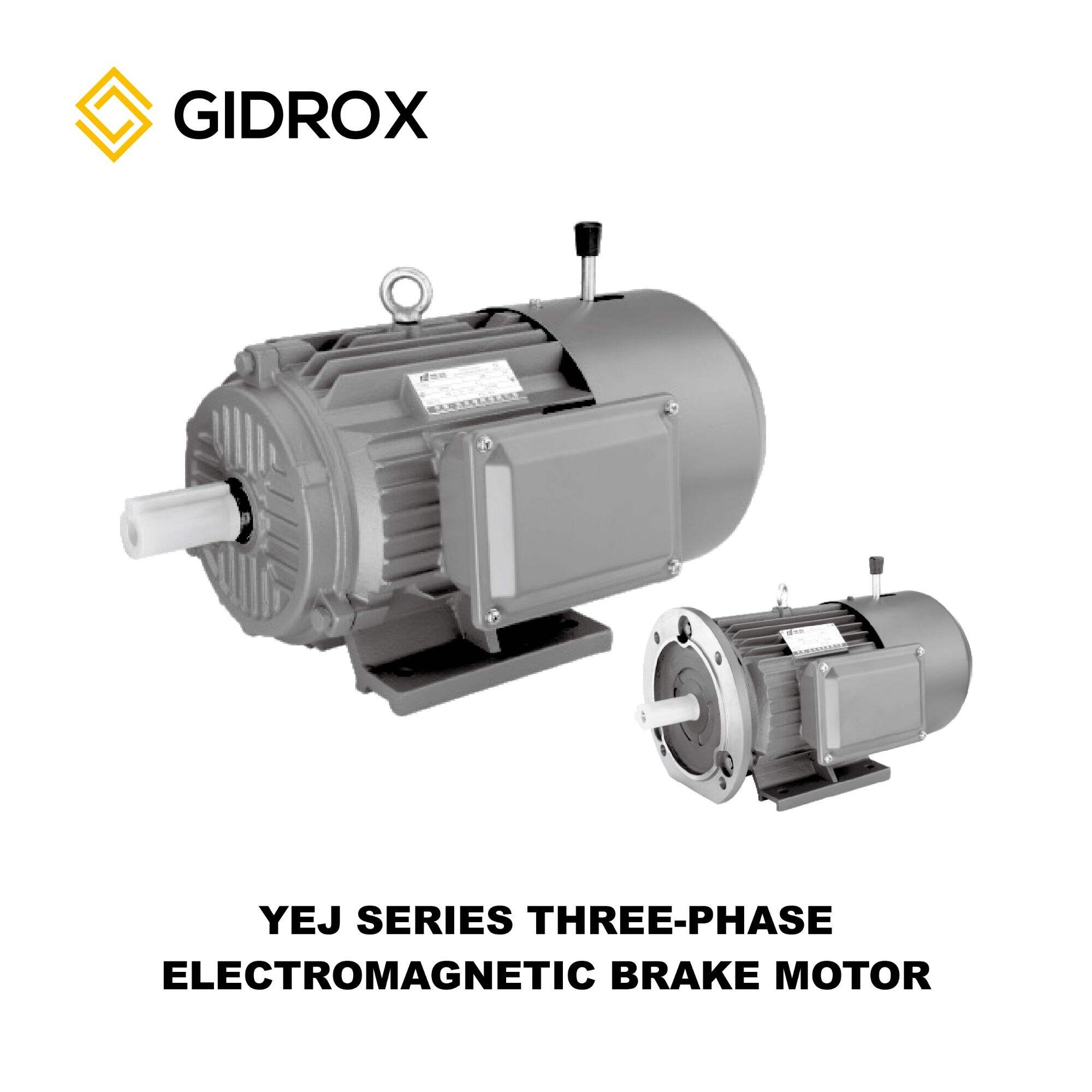 GIDROX MOTOR-YEJ Series