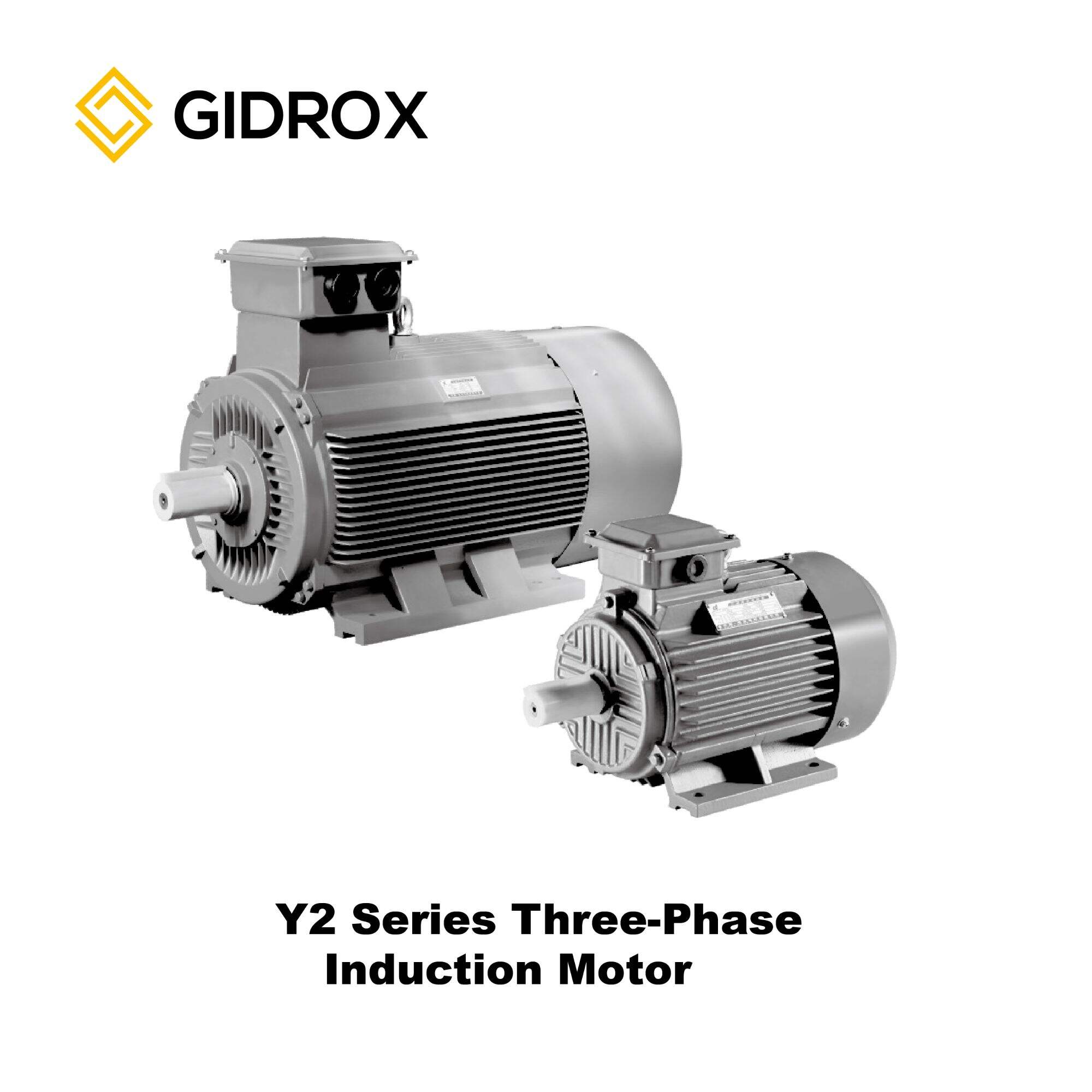 GIDROX MOTOR-Y2 Series