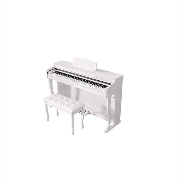 Innovation and Customization in the World of Digital Pianos