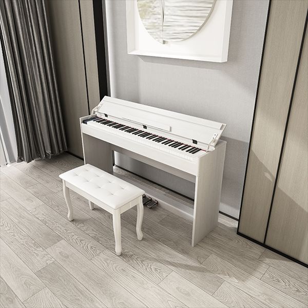 Specialized Care and Attention to Digital Pianos