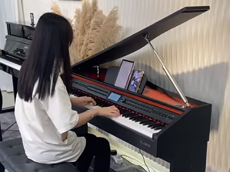 Digital Piano Manufacturer Factory Play Video BL-8830-C