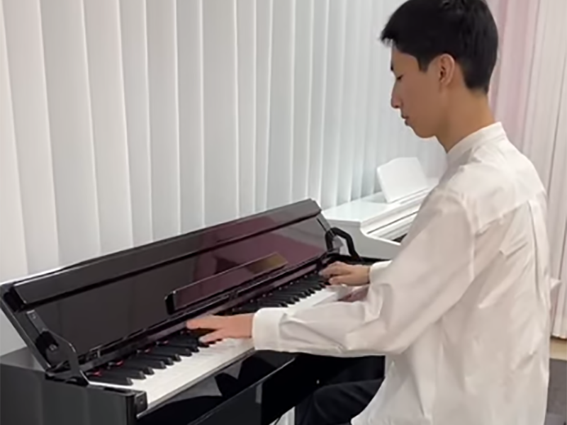 Digital Piano Manufacturer Factory Play Video BL-8817-B Standard