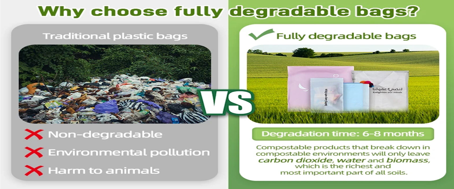 Экологичность: необходимость использования биоразлагаемых пластиковых пакетов