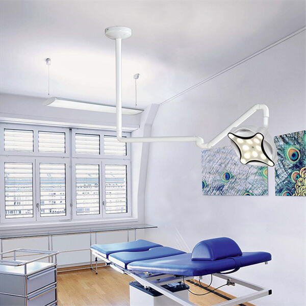 Adjustable Brightness Levels for Personalized Usage