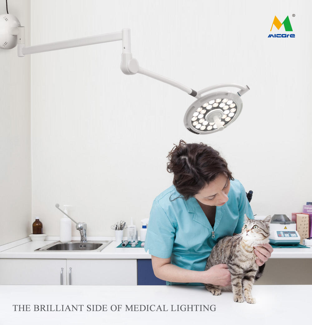 MICARE JD1800G Wall Mounted Surgical Lamp Veterinary Surgery Light Pet LED Operating Lamp details