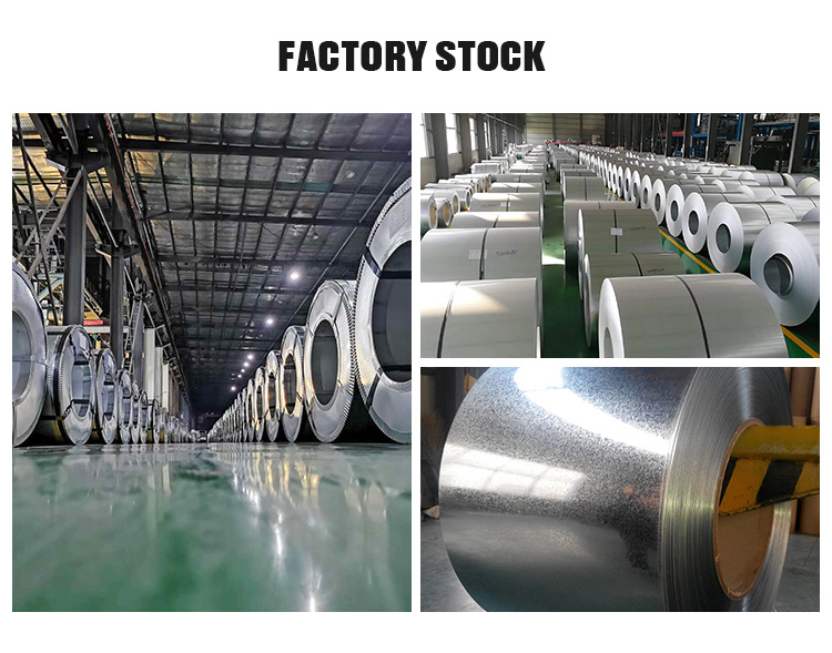 Hot Rolled Galvanized Sheet metal SS400 q235b Q335B Carbon Steel Coil factory