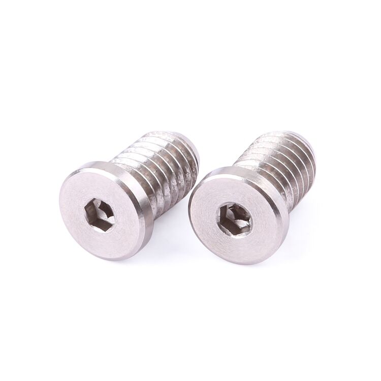 Customization fasteners hex socket stainless steel screws ball screw for electronics industry supplier