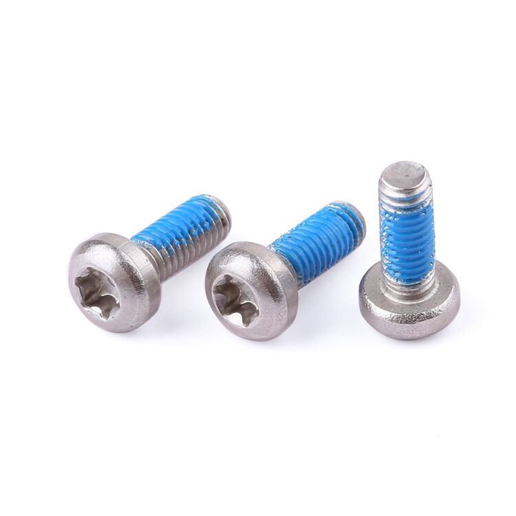 Factory fastener M2-M8 stainless steel 304 316 anti loosening nylon adhesive pan head torx screw GB2672 supplier