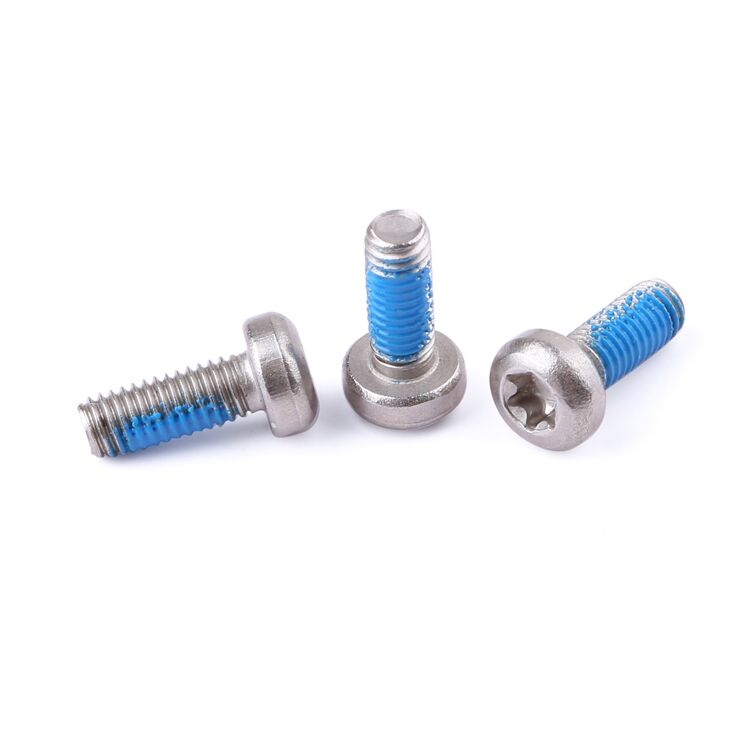 Factory fastener M2-M8 stainless steel 304 316 anti loosening nylon adhesive pan head torx screw GB2672 details