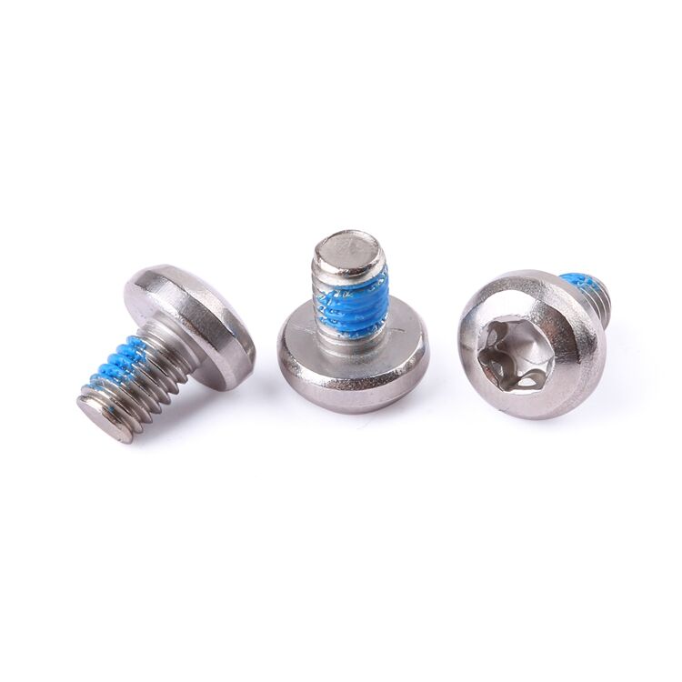 M2-M8 stainless steel 304 316 anti loosening nylon adhesive pan head torx screw GB2672 factory