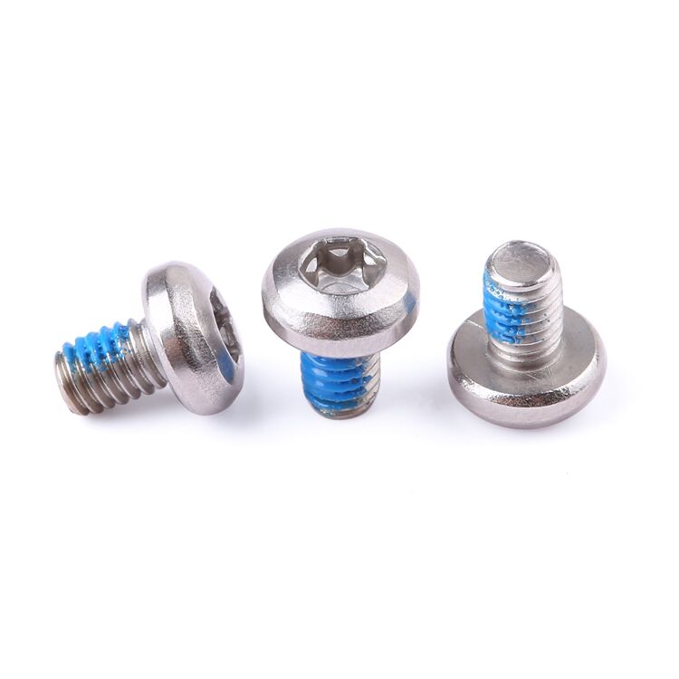 M2-M8 stainless steel 304 316 anti loosening nylon adhesive pan head torx screw GB2672 details