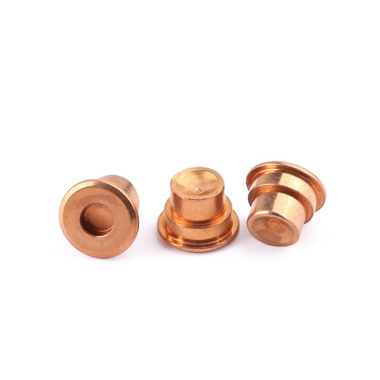 Customization fasteners step rivet bronze door locks and handles screws for doors and windows supplier