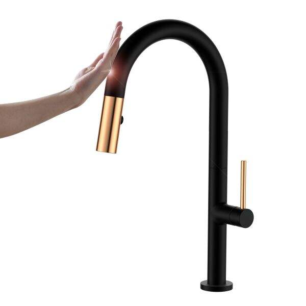 Using Touchless Kitchen Faucet