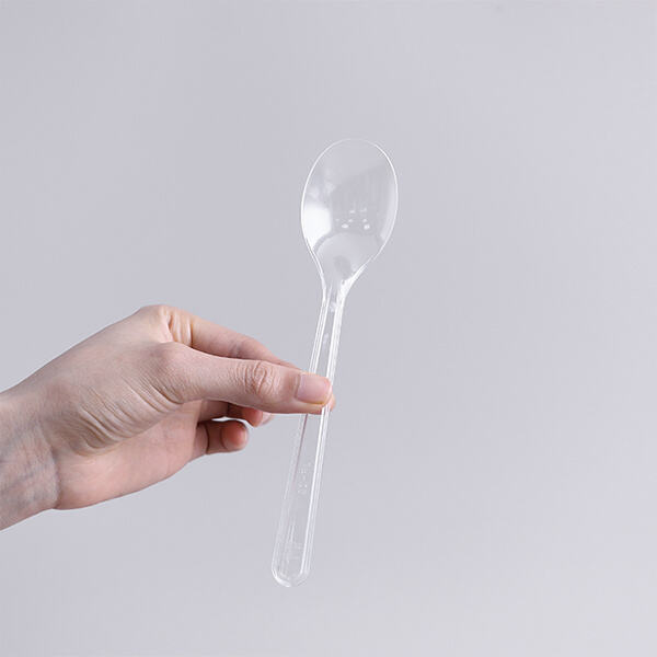 The Best Designs for Soup Spoon Plastic