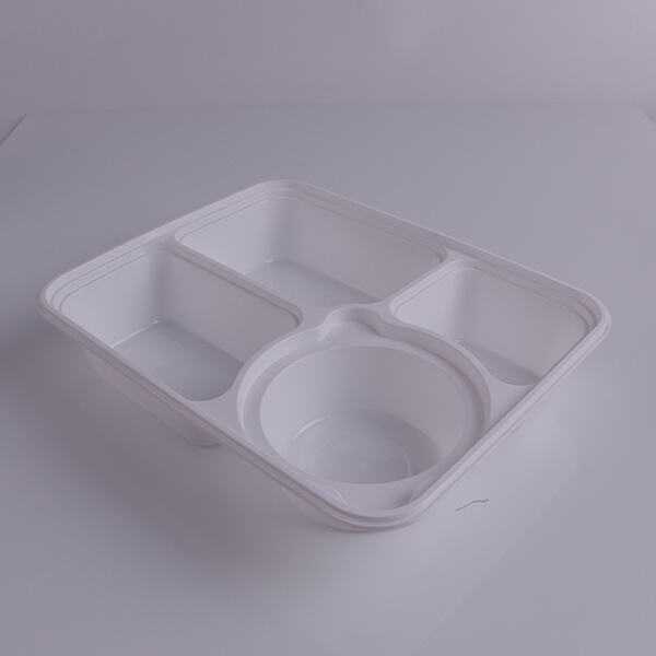 3 compartment containers for all occasions