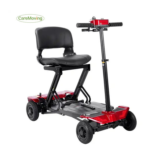 Overcoming Obstacles in a Disabled Wheelchair