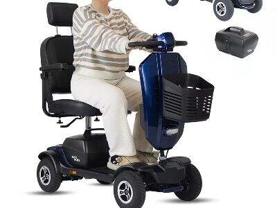 Il-mobilità ekoloġika tal-iskuterijiet ħajjin għall-biżness globali?