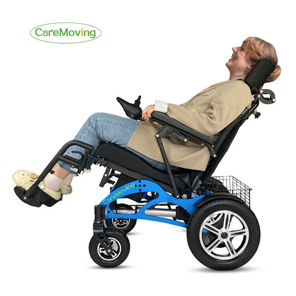 A Karma Wheelchair Perspective